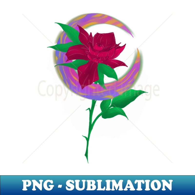 BV-20231111-21840_Moon Rose 2676.jpg