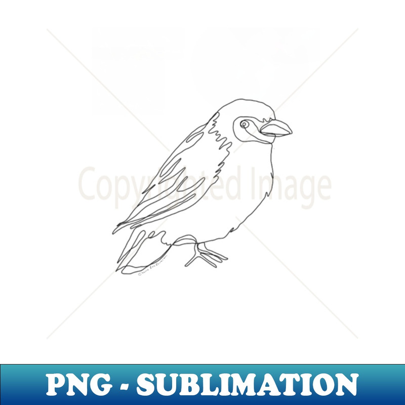 BX-20231111-4951_Cape Weaver Bird Line Drawing 8221.jpg