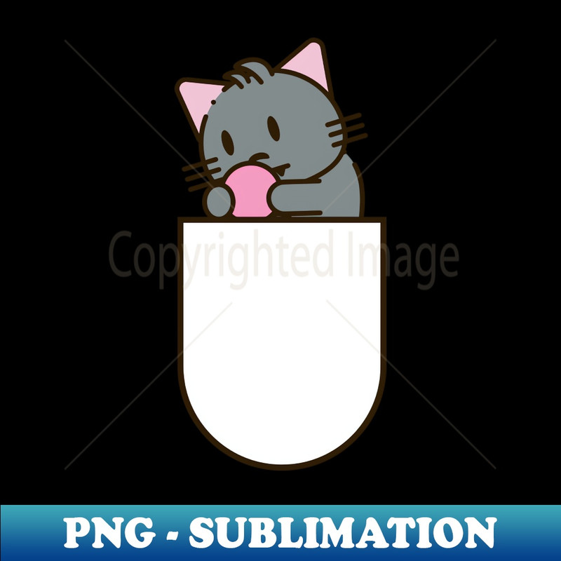 EK-20231111-5204_Cat playing in pocket 8263.jpg