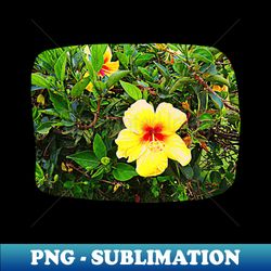 Yellow flower photography - Elegant Sublimation PNG Download - Perfect for Sublimation Mastery