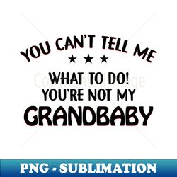 You Cant Tell Me What To Do Youre Not My Grandbaby - Retro PNG Sublimation Digital Download - Bring Your Designs to Life