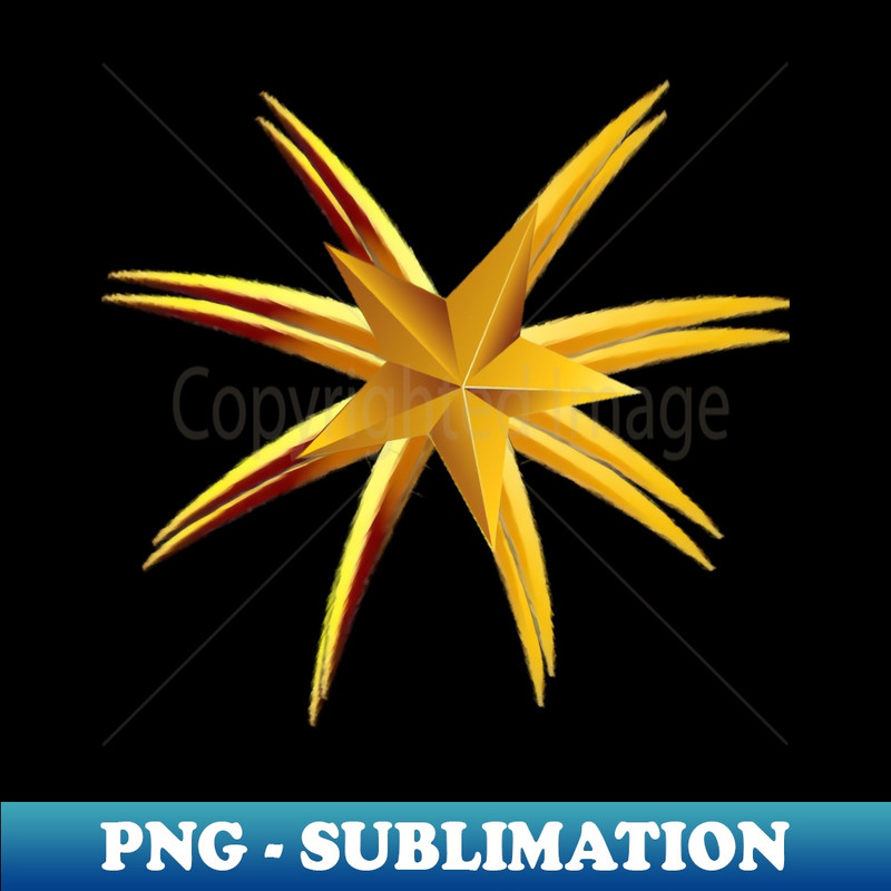 IX-20231111-12676_gold star 5345.jpg