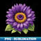 IX-20231111-3946_Blooming Purple Sunflower lover gift 3723.jpg