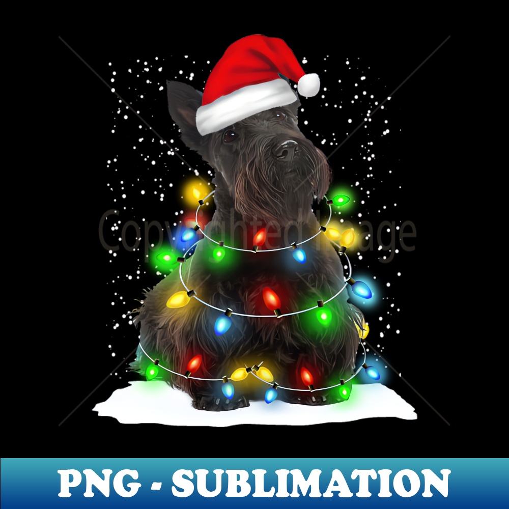 IZ-20231111-27544_Scottish Terrier Christmas Santa Hat Xmas Tree Color Lights 2147.jpg