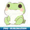 JB-20231111-28113_Simple drawn cute frog 8027.jpg