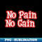 SZ-20231111-23117_No pain no gain with white font style 7218.jpg