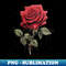 TF-20231111-26122_Red rose 8015.jpg