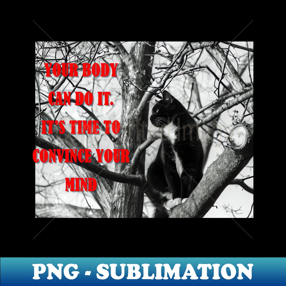 TH-20231111-29155_Sports Shirt Fitness Shirt Your body can do it Sport T-Shirt 5348.jpg