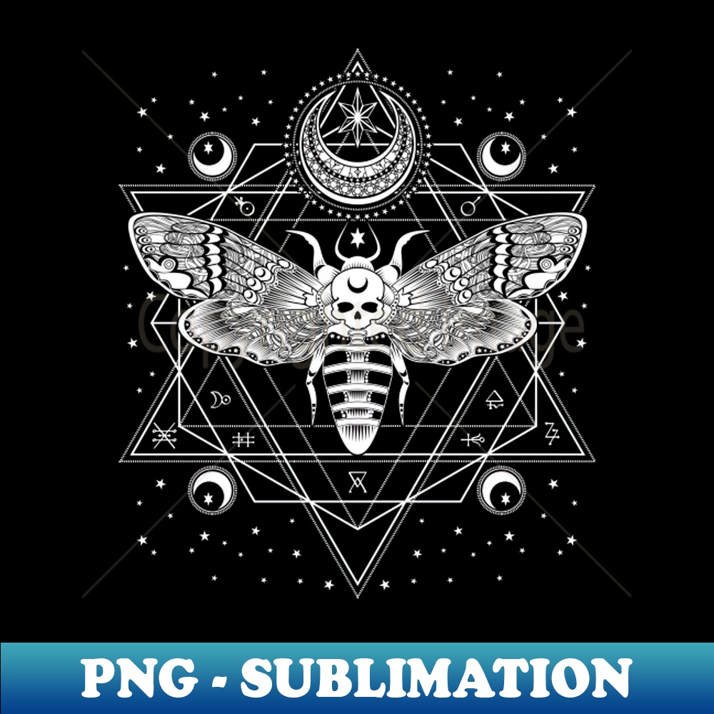 UT-20231111-8114_Deaths head Moth 7234.jpg