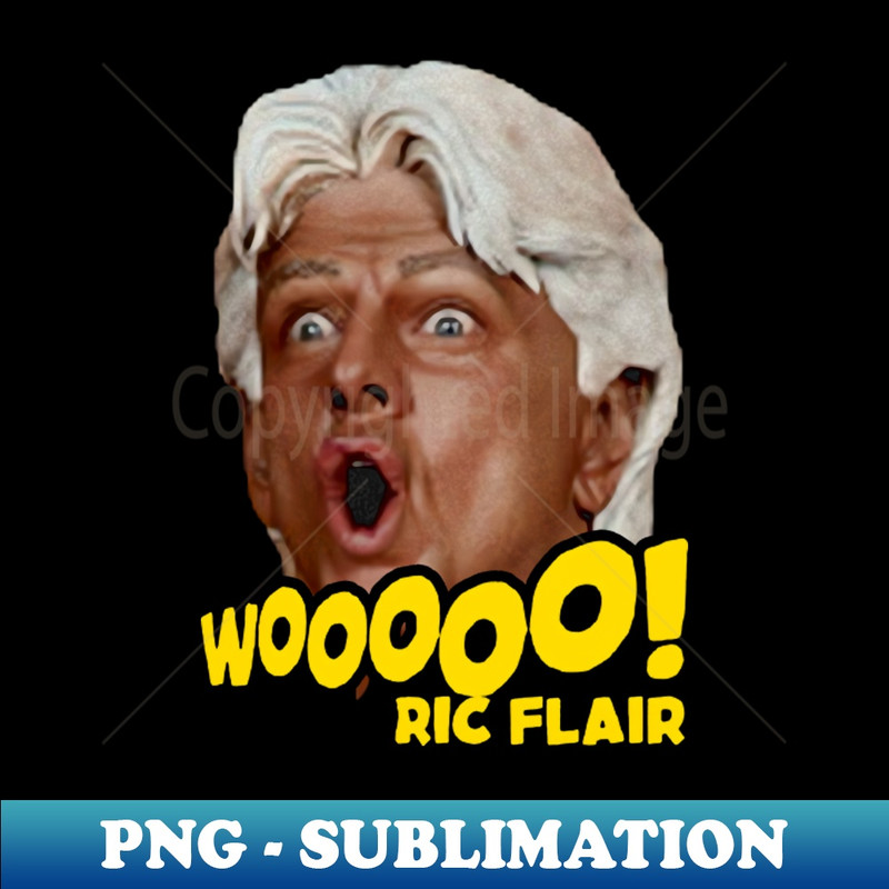 VR-20231111-26555_Ric Flair WOOOOOO 4386.jpg