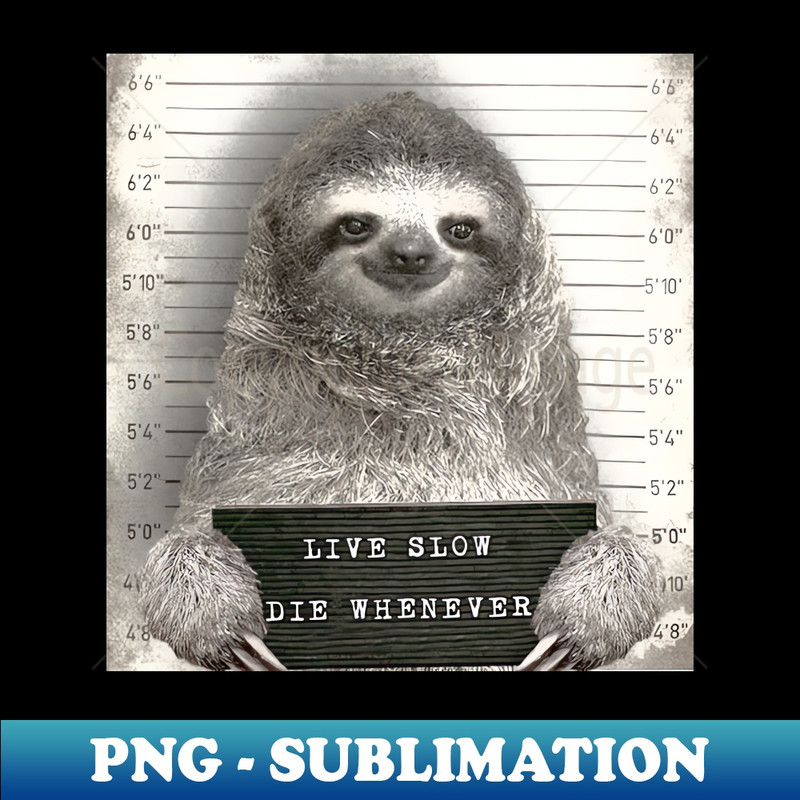 VR-20231111-28482_Sloth in a Mugshot - Print  Home Decor  Wall Art  Poster  Gift  Birthday  Sloth Lover Gift  Animal print Canvas Print 9454.jpg