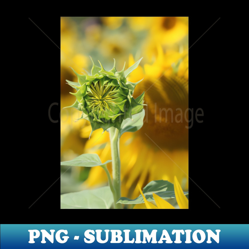 VX-20231111-30984_The Blooming of a Flower in the Sun 1854.jpg