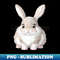 XI-20231111-2494_Baby Bunny 2515.jpg