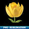 XJ-20231111-35448_Yellow Tulip Watercolor 4001.jpg