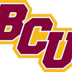 bethune cookman wildcats svg png jpeg digital cut vector files for silhouette studio cricut design