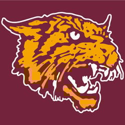 bethune cookman wildcats svg png jpeg dxf digital cut studio cricut design