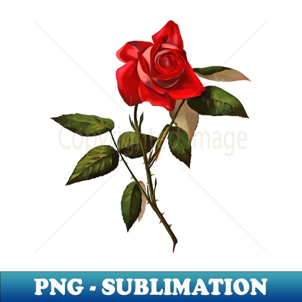 Single Stem Red Rose Isolated Vector Art - Premium PNG Subli | Inspire ...