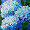 Painting-blue-pink-hydrangea-flowers-impasto-art-acrylic-texture-on-canvas.jpg
