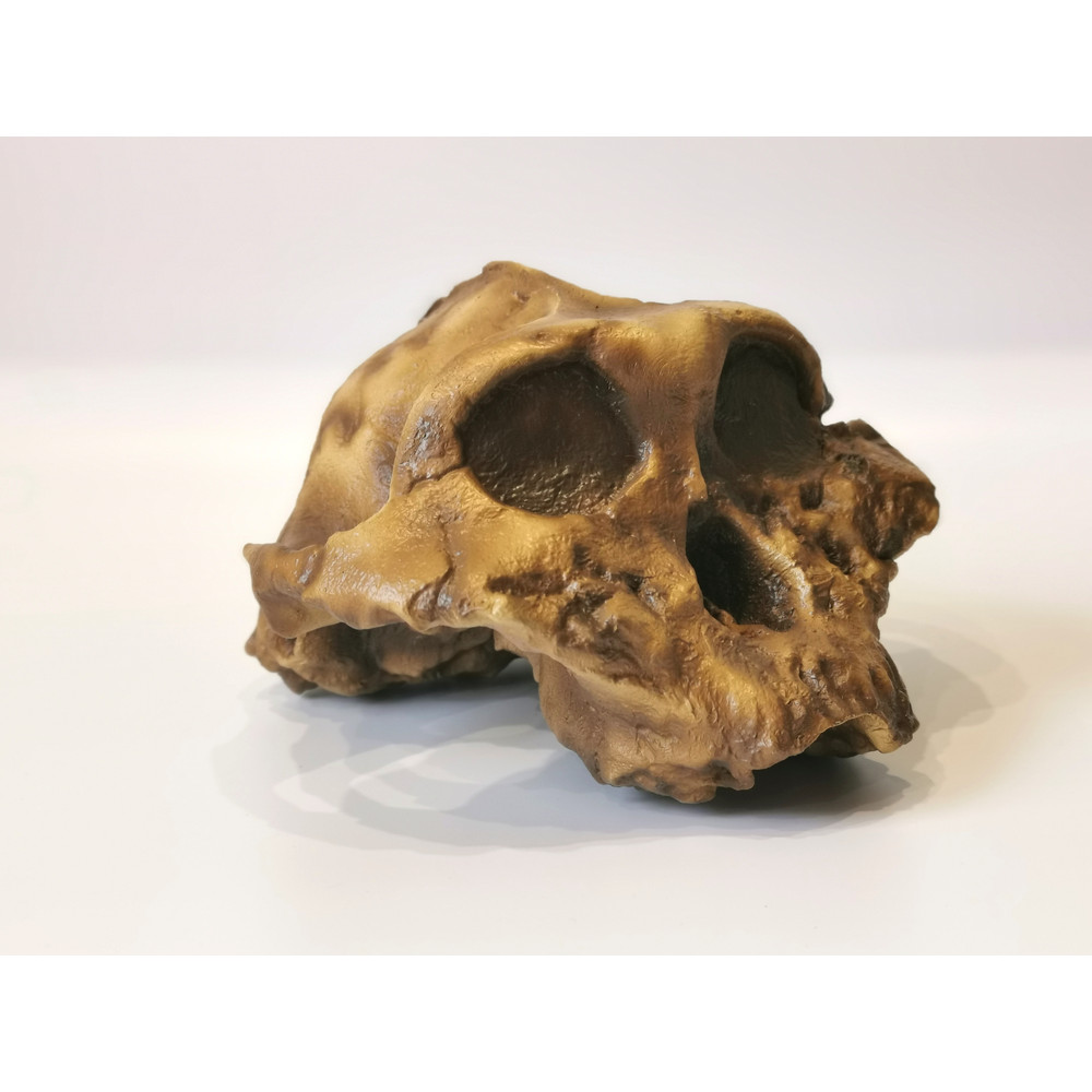 IMG_20220828_150739_edit_767246189864177 - копия.jpg