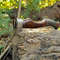 il_794xN.5507555295_1ay4.jpg
