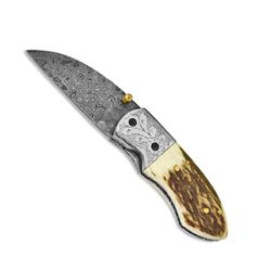 Damascus Handmade Folding Knife with Stag Handle
