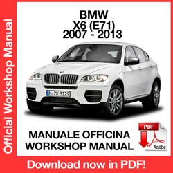 WORKSHOP MANUAL SERVICE REPAIR BMW X6 E71 (2007-2013) (EN)