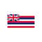 1311202385929-hawaii-state-flag-instant-download-1-vector-eps-dxf-svg-image-1.jpg