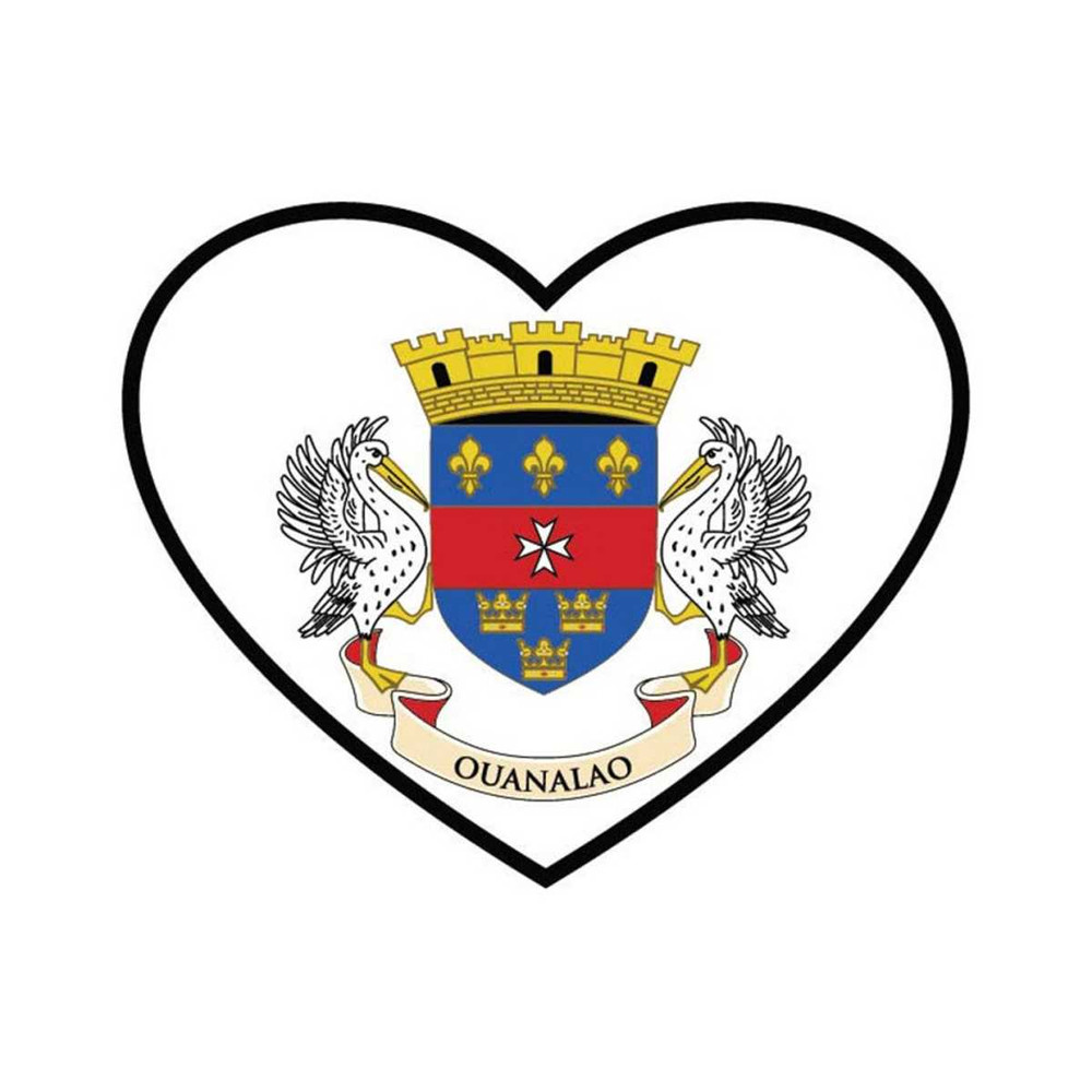 131120239016-saint-barthelemy-flag-heart-islands-flags-vector-eps-dxf-image-1.jpg