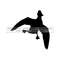 13112023938-mallard-duck-flying-eps-svg-dxf-1-png-vinyl-cutter-image-1.jpg