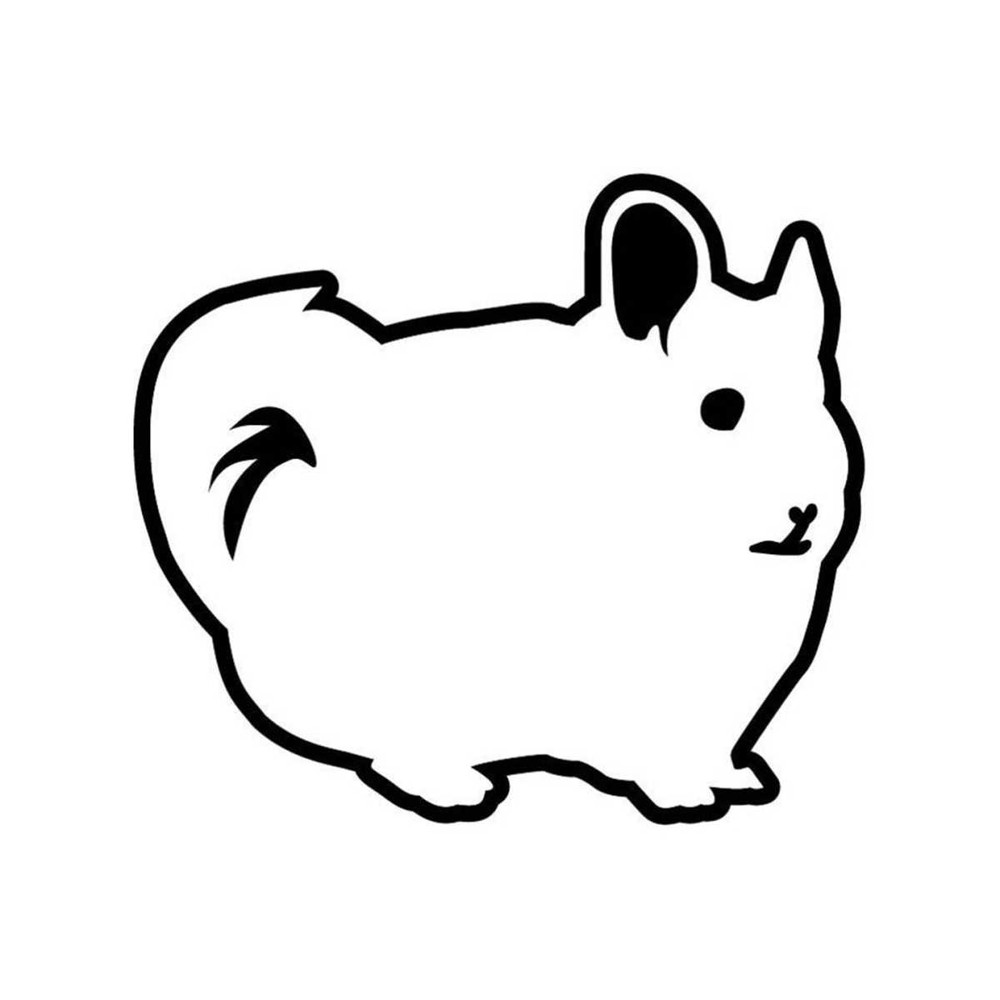 131120239510-chinchilla-pet-weasel-vector-eps-svg-dxf-1-png-vinyl-image-1.jpg