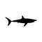 13112023965-mako-shark-instant-download-1-vector-eps-dxf-svg-png-image-1.jpg