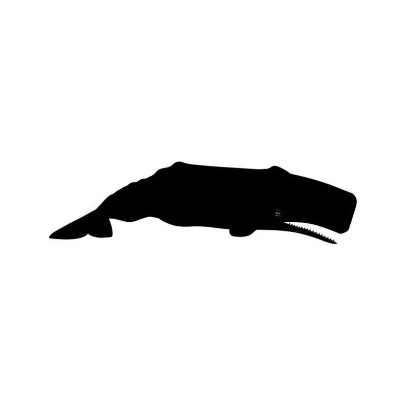 13112023996-whale-moby-dick-instant-download-1-vector-eps-dxf-svg-image-1.jpg
