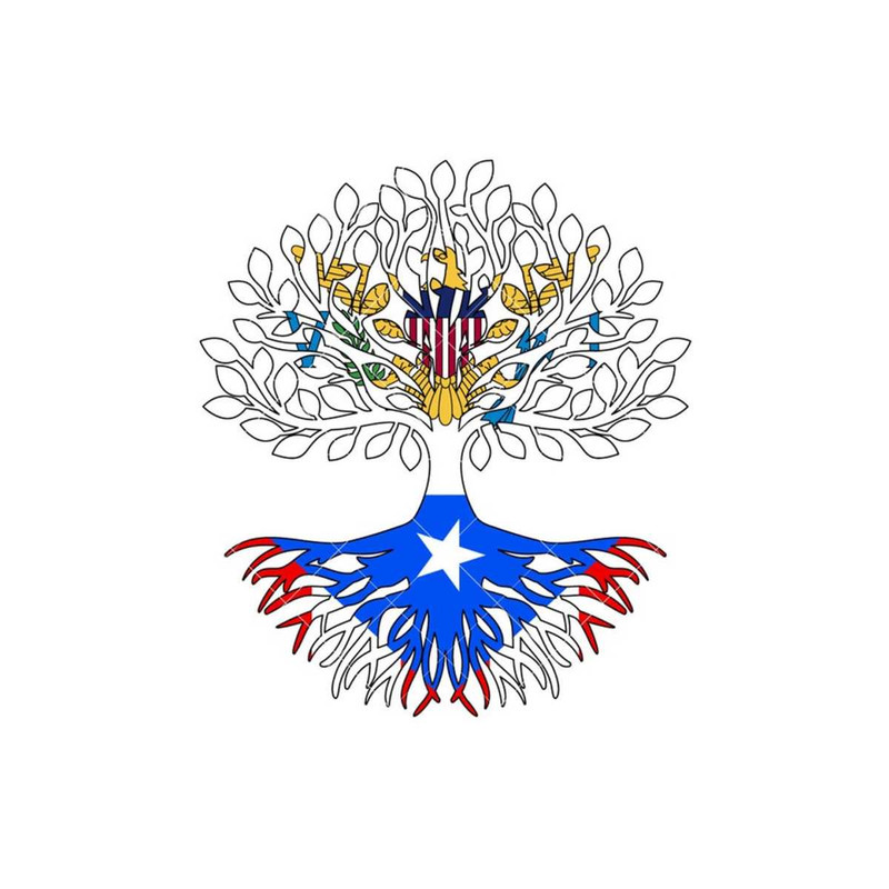 1311202391726-usvi-puerto-rico-rican-flag-roots-art-digital-vector-eps-image-1.jpg