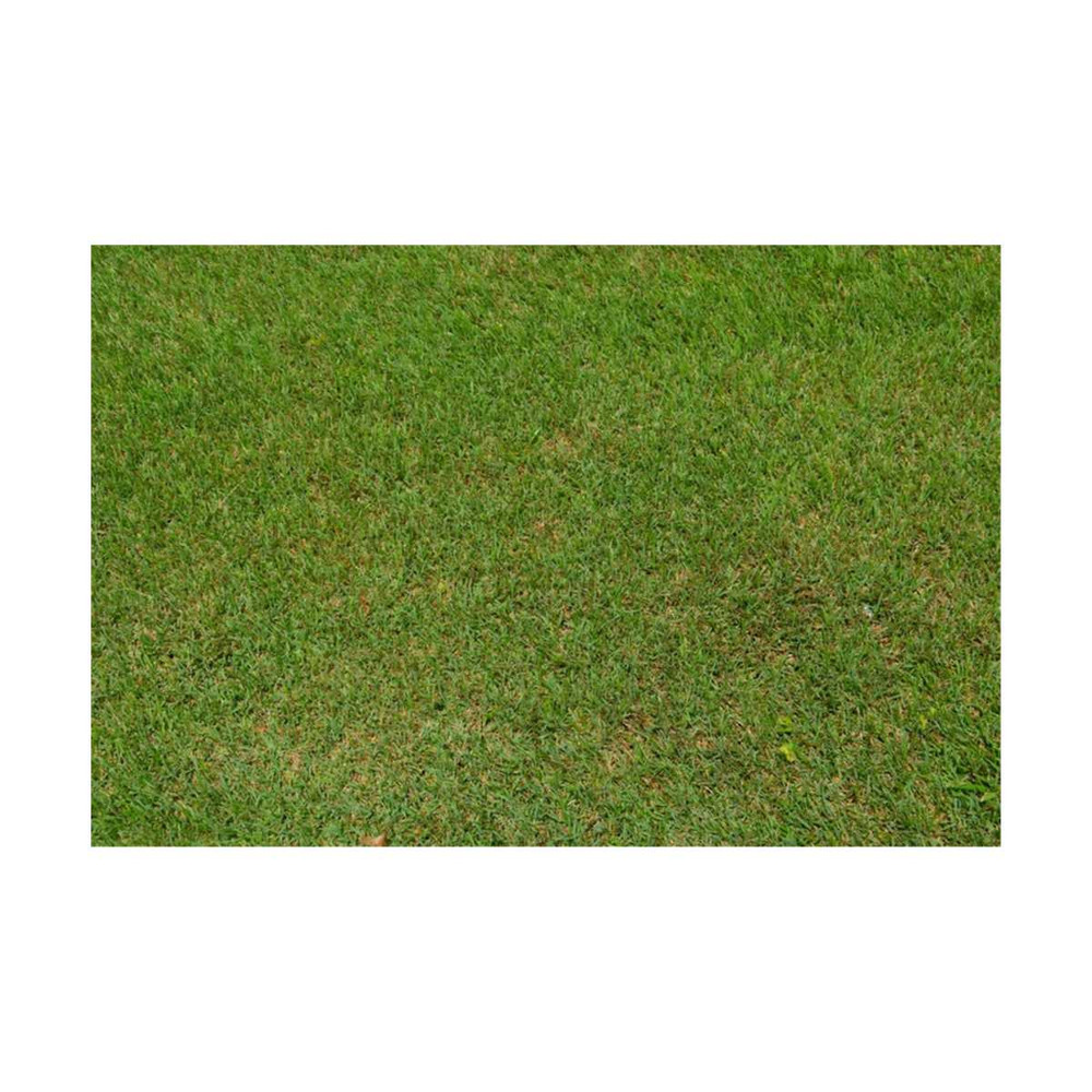 1311202391833-green-grass-background-texture-digital-download-image-1.jpg