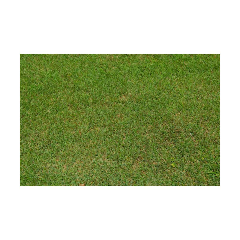 1311202391833-green-grass-background-texture-digital-download-image-1.jpg