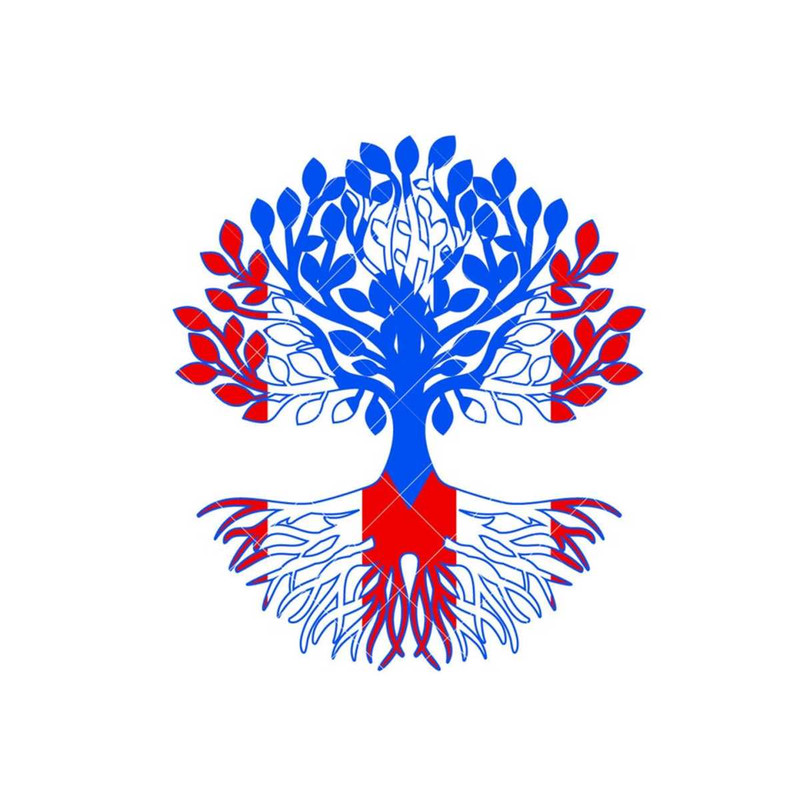 1311202392519-puerto-rico-rican-flag-roots-art-digital-vector-eps-dxf-image-1.jpg