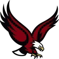 boston college eagles svg png cricut design