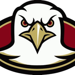 boston college eagles svg png jpeg dxf digital silhouette studio cricut design