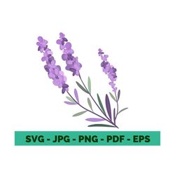 lavender clipart lavender wreath lavender svg floral clipart wedding clipart