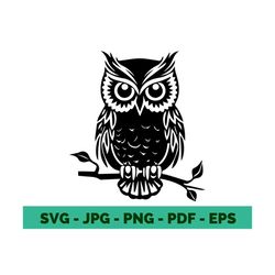 owl svg owl clipart owl cricut owl vector owl cut file owl shirt owl face svg owl moon svg zentangle svg cricut file