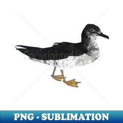 Manx Shearwater standing - Premium PNG Sublimation File - Perfect for Sublimation Art