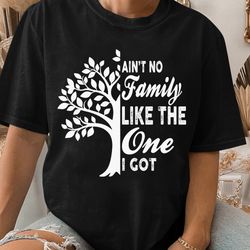 aint no family like the one i got family reunion tshirt gift unisex t shirt sweatshi