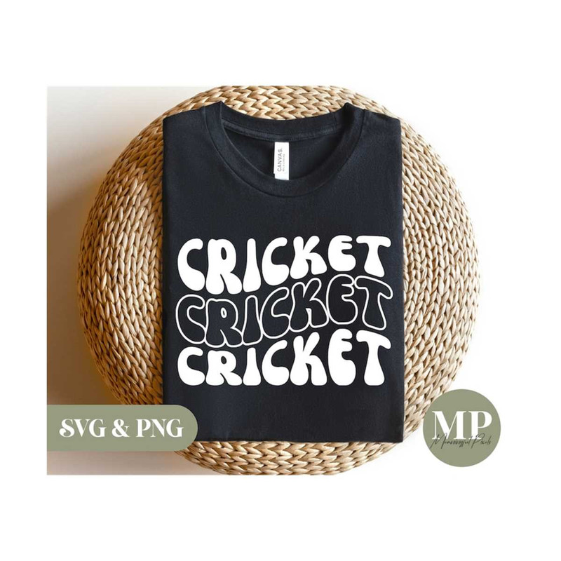 13112023161552-cricket-svg-png-image-1.jpg