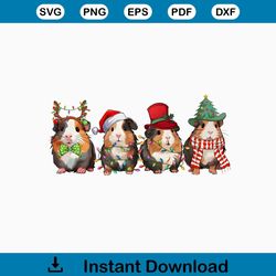 Funny Christmas Guinea Pig Santa Hat PNG Download