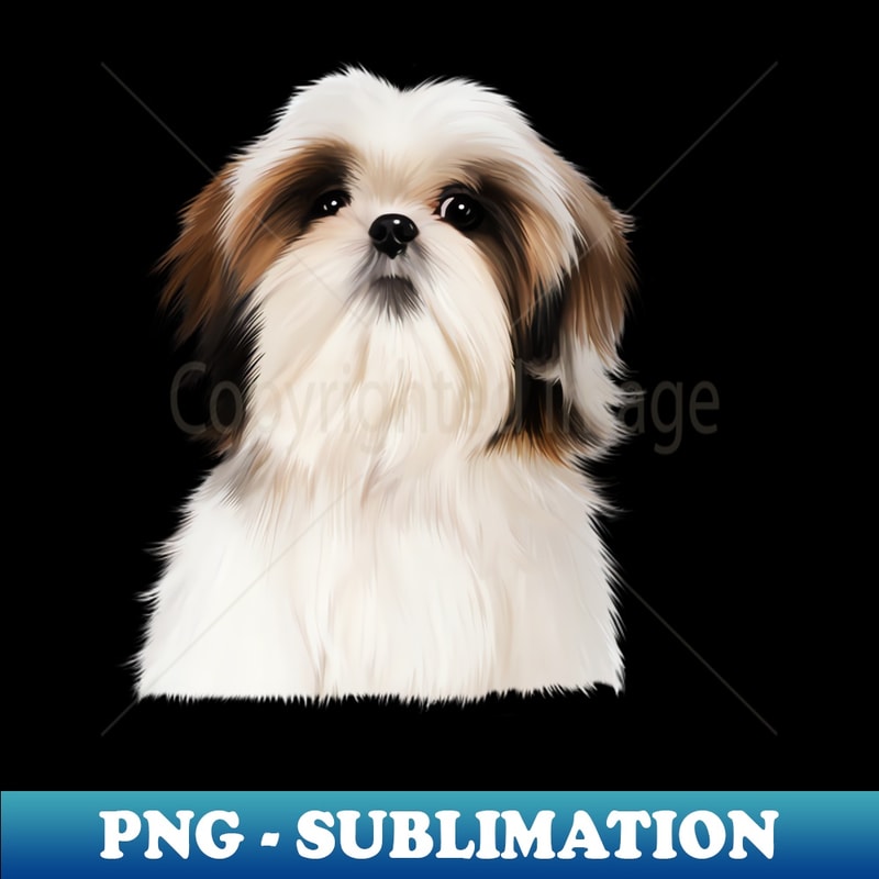 SN-20231113-12990_Shih tzu Dog 4354.jpg