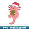 VI-20231113-2706_Christmas Axolotl 6047.jpg