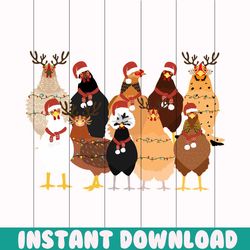 cute christmas chickens animals christmas png download