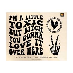 I'm A Little Toxic But Bitch You Gonna Love It Over Here Svg, Adult Humor Svg Png, Aesthetic Design, Funny Quote Sublimation Cut File