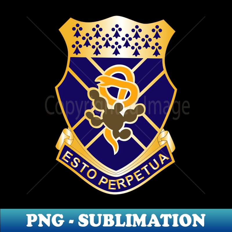 AY-20231114-068_123rd Armor Regiment - COA wo Txt X 300 1245.jpg