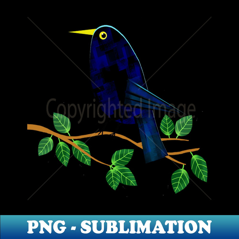 BE-20231114-2903_Blackbird 8935.jpg